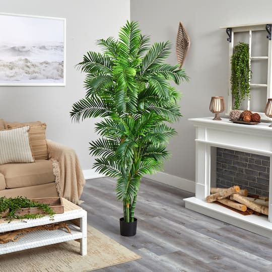 6ft. Potted Curvy Parlor Palm Tree